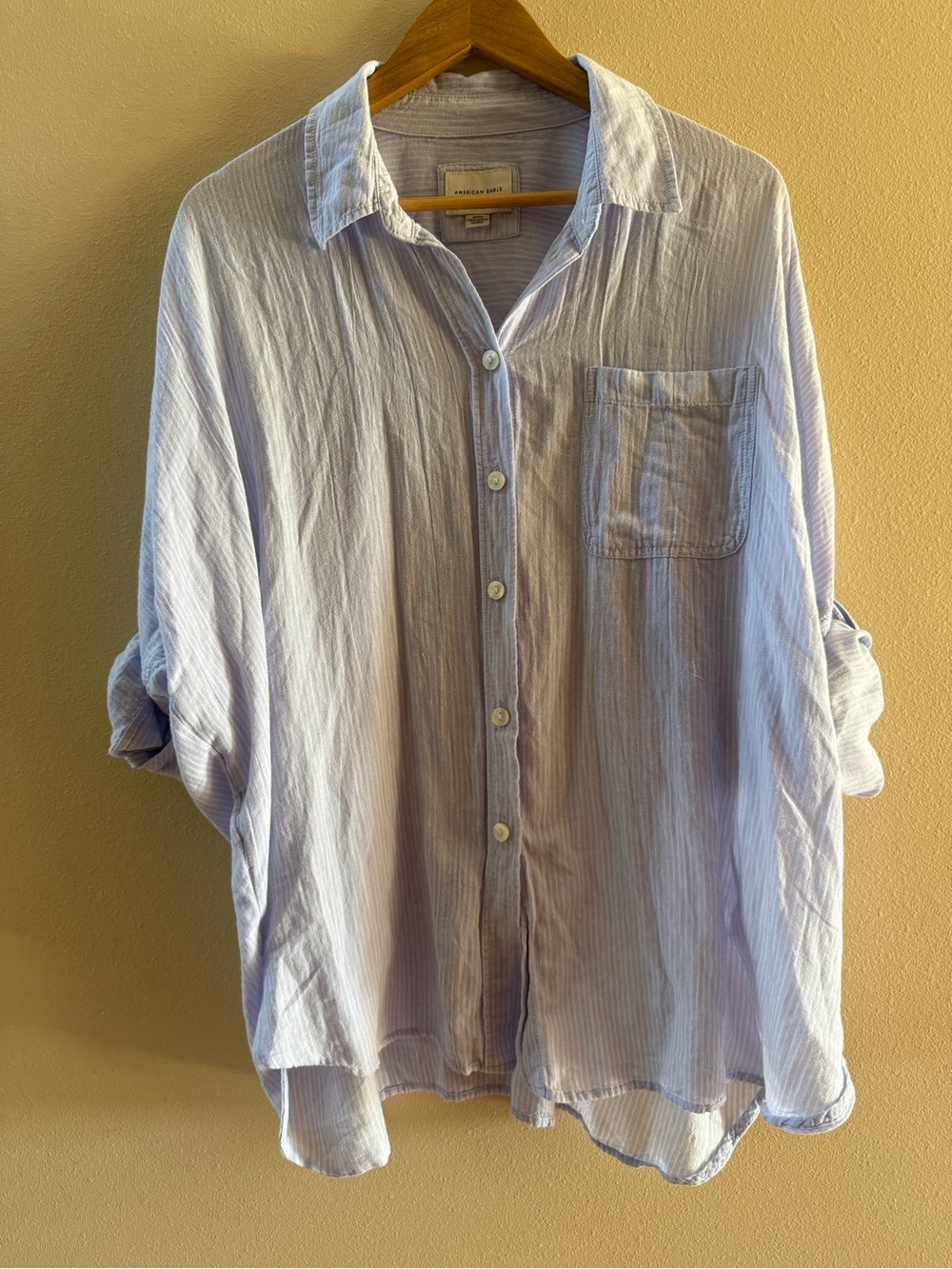 American Eagle Outfitters Light Blue/Soft Pink Button-Down Shirt